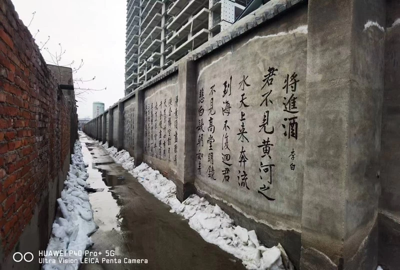 高手在民间之《将进酒》