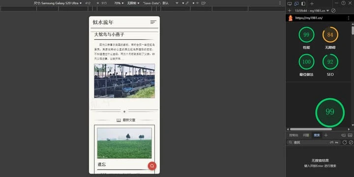 点击放大图片 网站主题优化总结:打造更美观、更高效的阅读体验