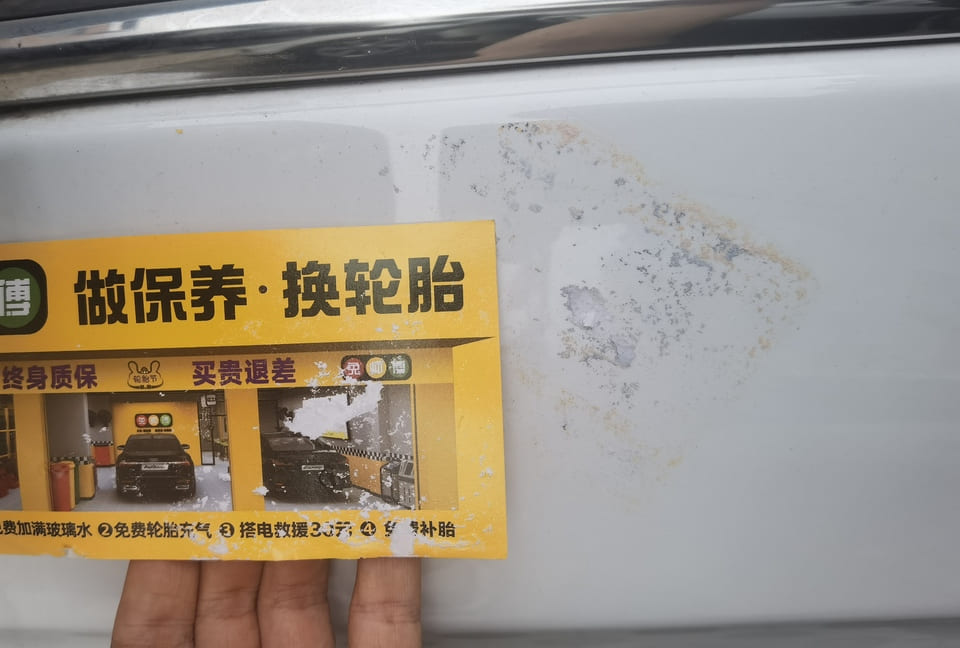 点击放大图片 蝉鸣之夏